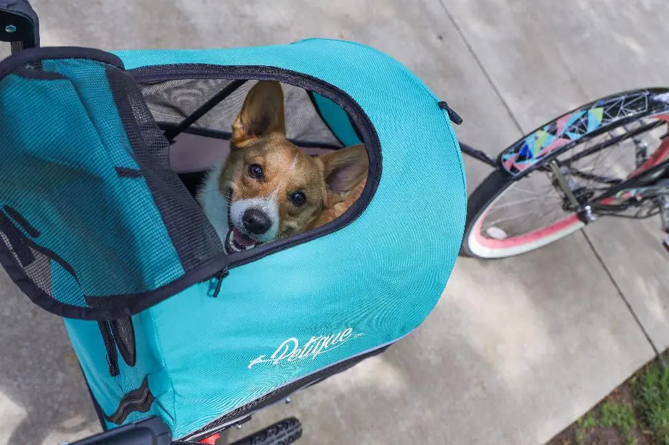 Trailblazer Pet Jogger BearwoodEssentials-Elevated Pet Feeders