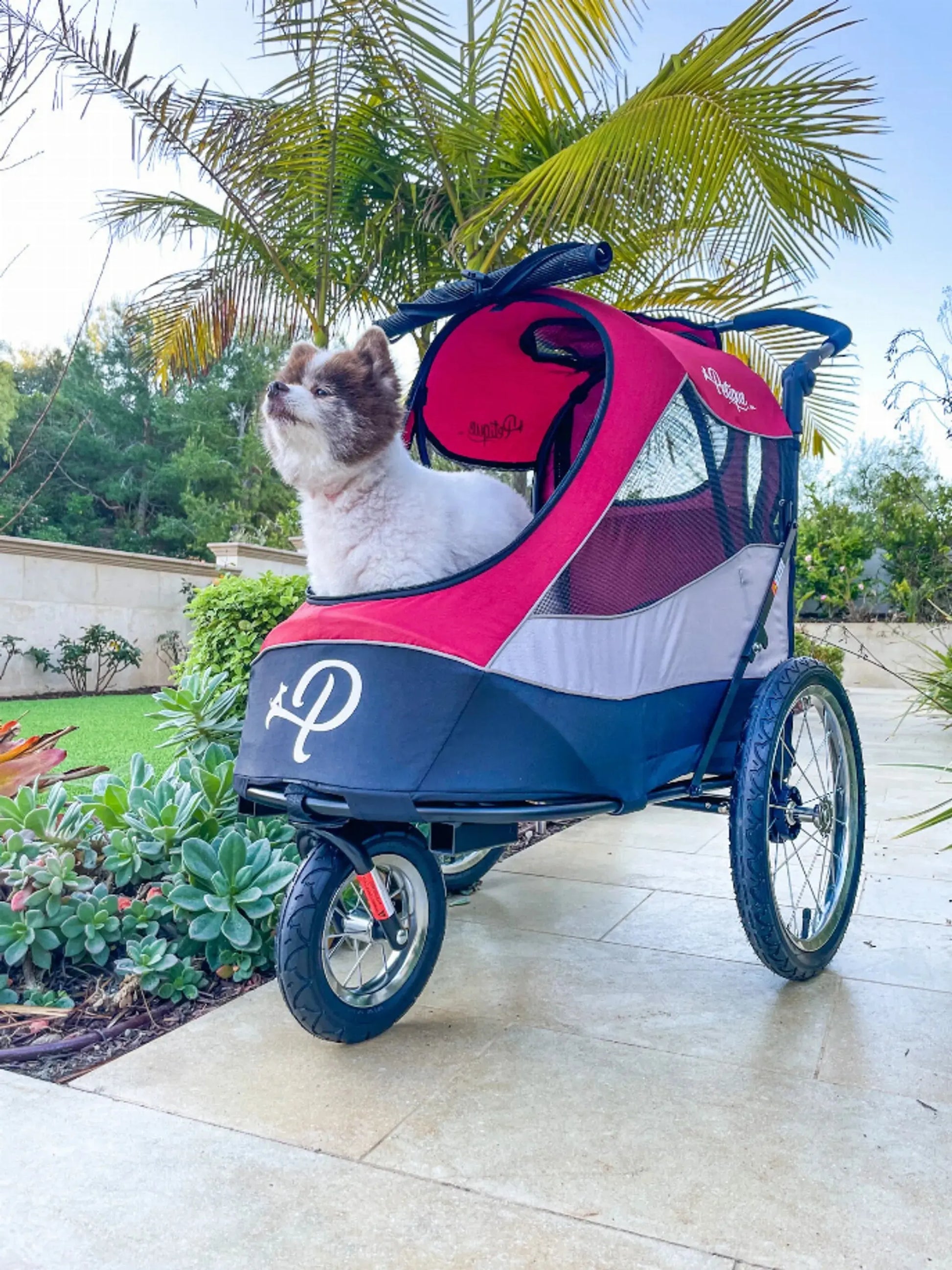 Trailblazer Pet Jogger Petique