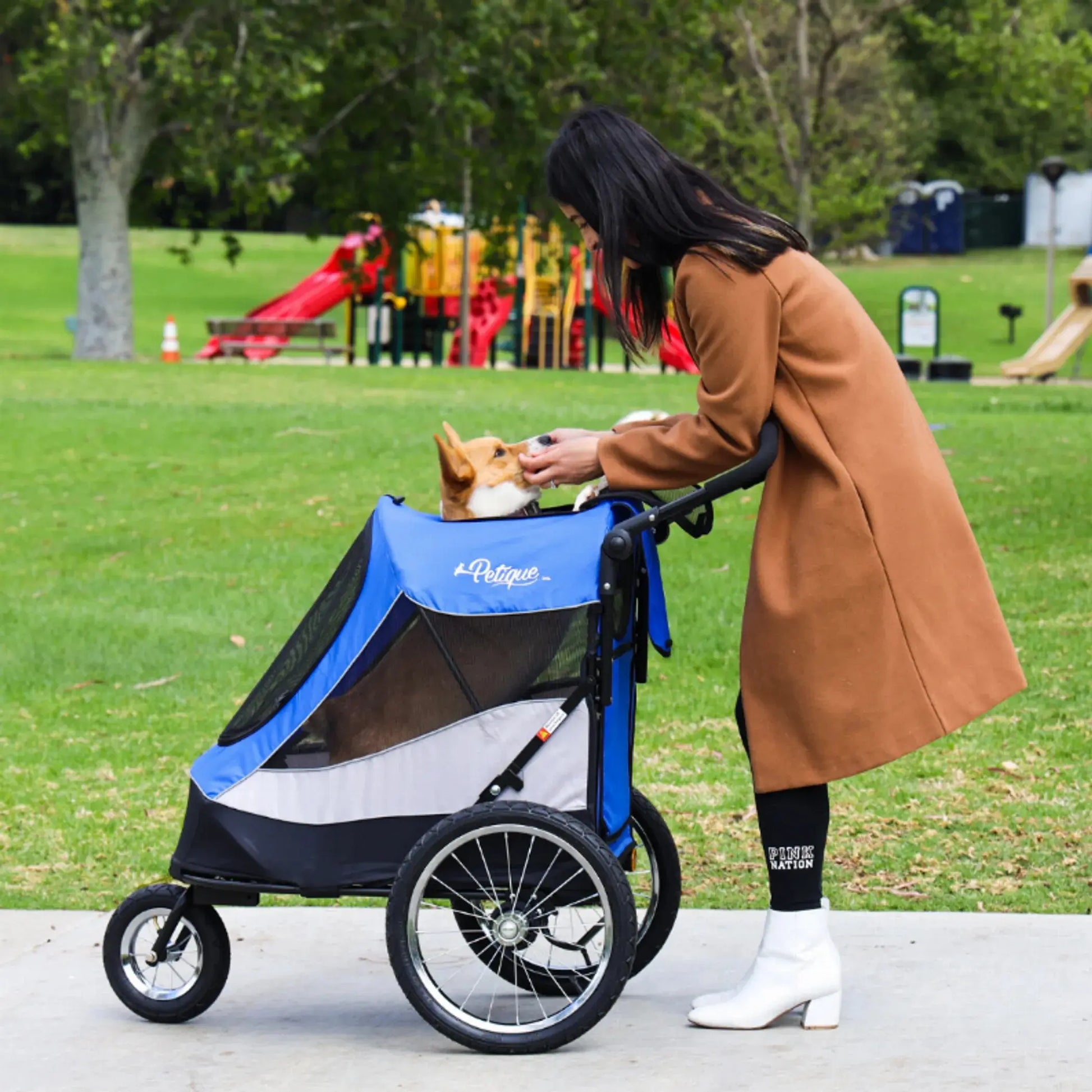 Trailblazer Pet Jogger Petique
