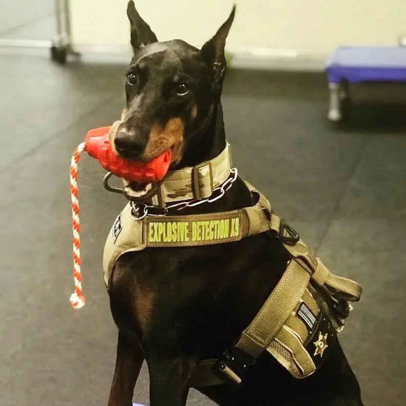 USA-K9 Grenade Durable Rubber Chew Toy, Treat Dispenser, Reward Toy, Tug Toy, and Retrieving Toy BearwoodEssentials-Elevated Pet Feeders