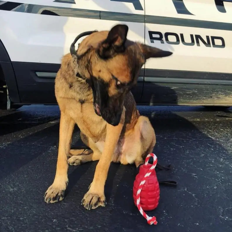 USA-K9 Grenade Durable Rubber Chew Toy, Treat Dispenser, Reward Toy, Tug Toy, and Retrieving Toy BearwoodEssentials-Elevated Pet Feeders