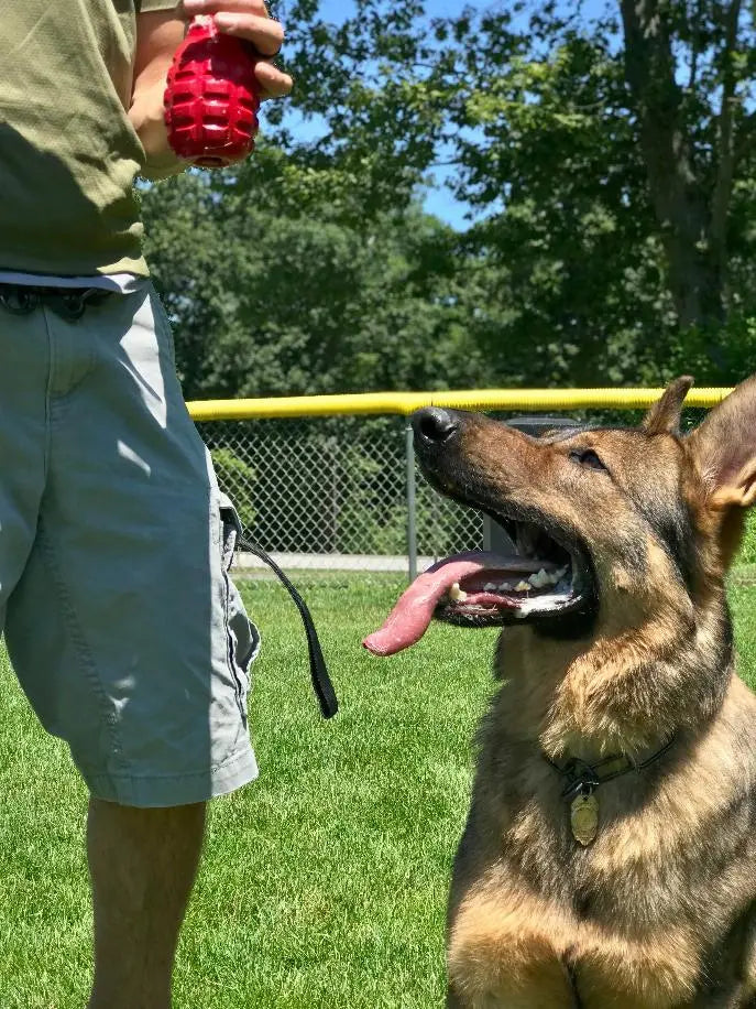 USA-K9 Grenade Durable Rubber Chew Toy, Treat Dispenser, Reward Toy, Tug Toy, and Retrieving Toy BearwoodEssentials-Elevated Pet Feeders