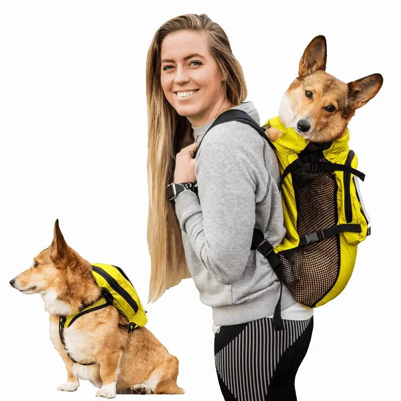 Walk-On with Harness & Storage BearwoodEssentials-Elevated Pet Feeders