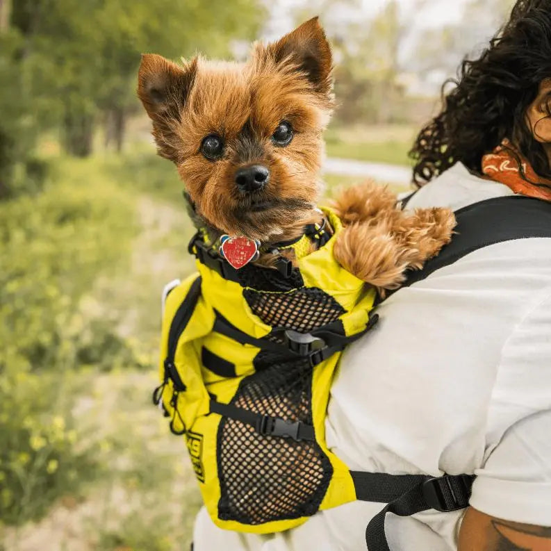 Walk-On with Harness & Storage BearwoodEssentials-Elevated Pet Feeders