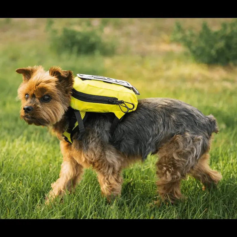 Walk-On with Harness & Storage BearwoodEssentials-Elevated Pet Feeders