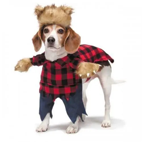 ZZ Werewolf Costume BearwoodEssentials-Elevated Pet Feeders