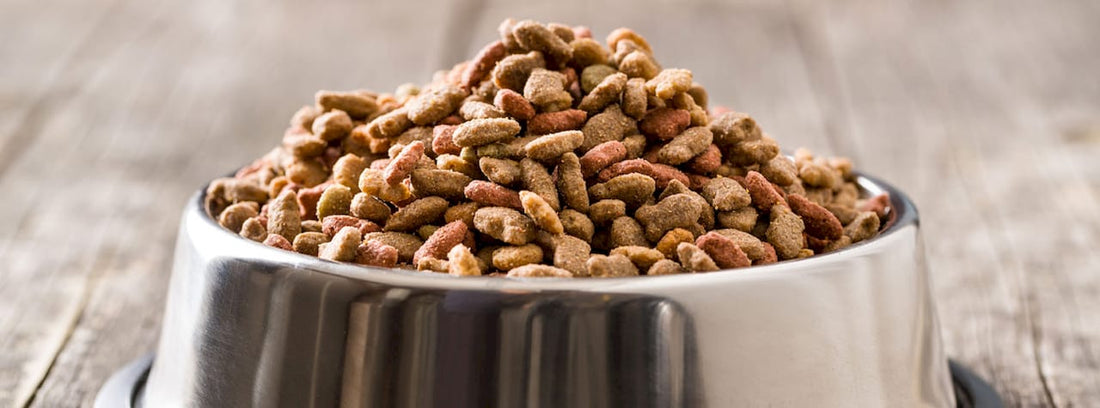 How Quality Pet Products Are Tested: 2026 Guide BearwoodEssentials-Elevated Pet Feeders