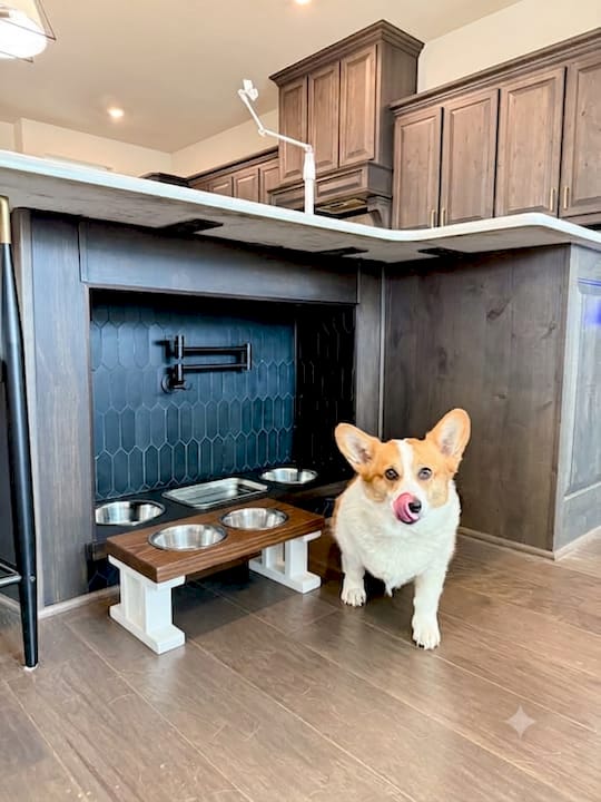 Pet Feeding Station for Small Apartments: 2026 Guide BearwoodEssentials-Elevated Pet Feeders