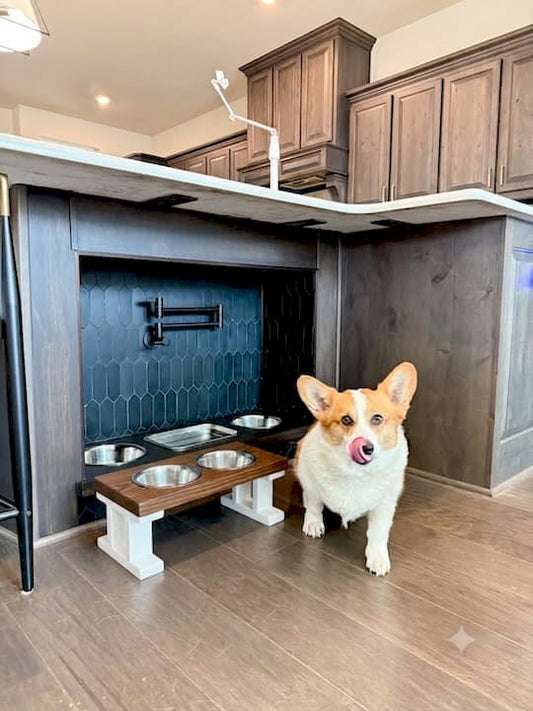 Pet Feeding Station for Small Apartments: 2026 Guide BearwoodEssentials-Elevated Pet Feeders