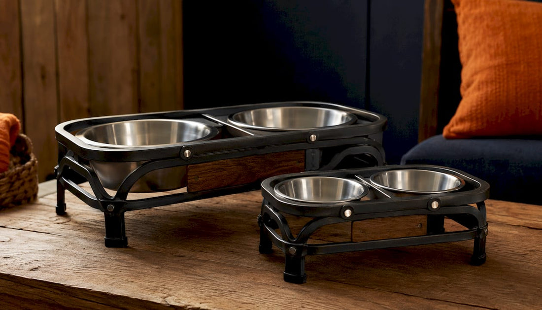 Industrial Metal Pet Feeder Designs: Top Picks for 2026 BearwoodEssentials-Elevated Pet Feeders