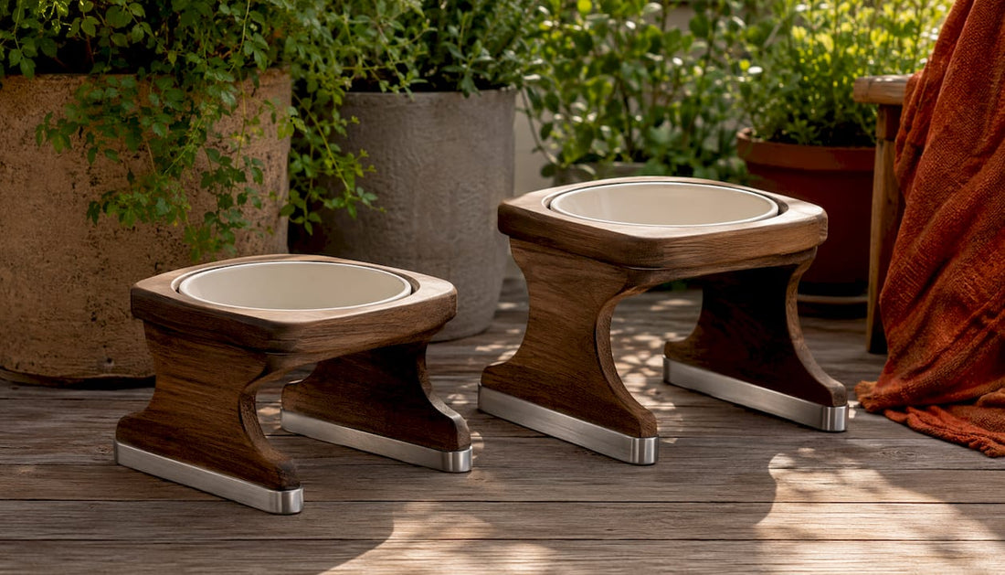 Elegant illustration of stable elevated dog feeders