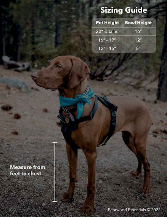 How Feeding Station Height Is Calculated for Dogs BearwoodEssentials-Elevated Pet Feeders