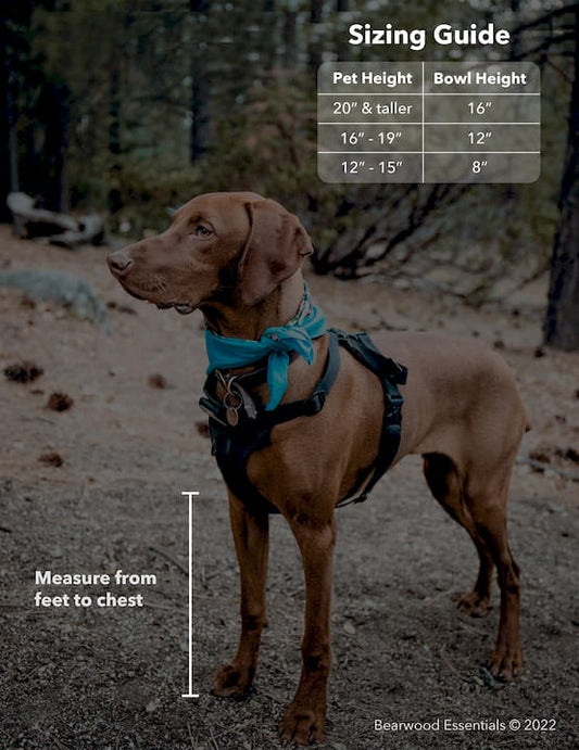 How Feeding Station Height Is Calculated for Dogs BearwoodEssentials-Elevated Pet Feeders