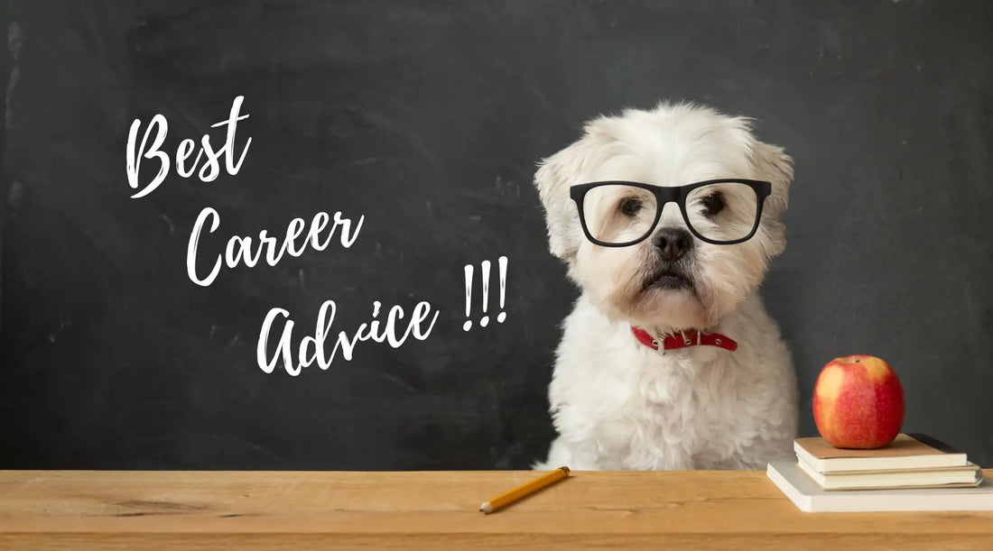 Amazing Career Advice From Dogs BearwoodEssentials-Elevated Pet Feeders