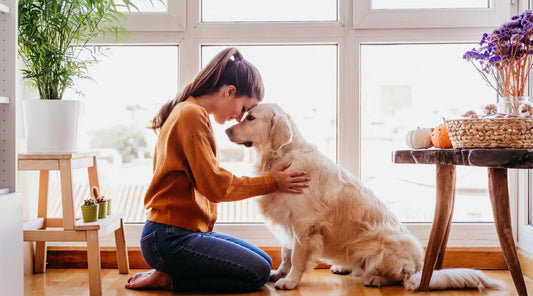Canine Companionship: How Dogs Improve Our Mental Health BearwoodEssentials-Elevated Pet Feeders