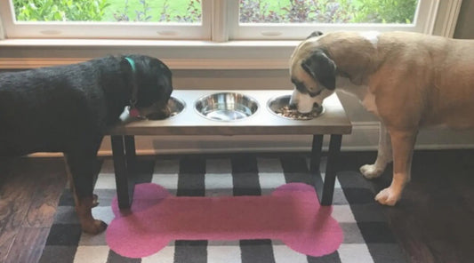 Choosing the Right Dog Feeder: A Guide to Finding the Perfect Fit BearwoodEssentials-Elevated Pet Feeders