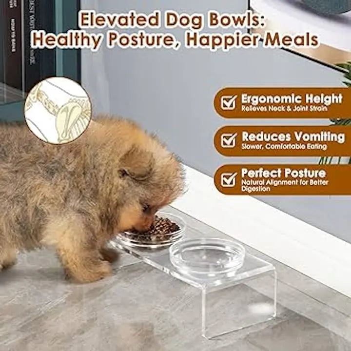 Dog Feeding Ergonomics: Benefits and Design Guide BearwoodEssentials-Elevated Pet Feeders