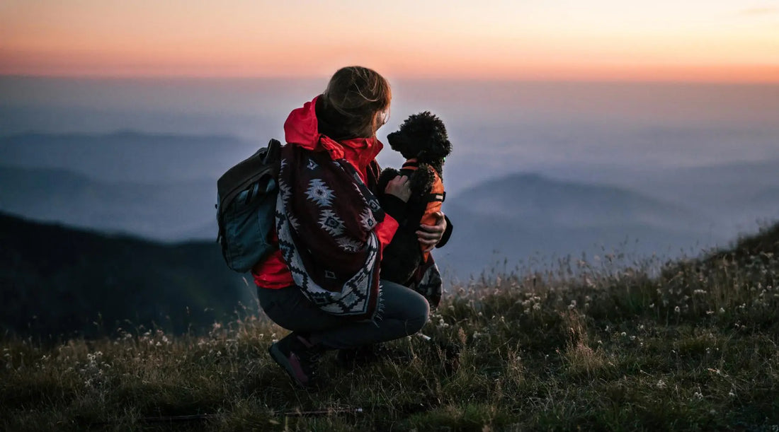 Elevate Your Adventures with Your Furry Friend - A Backpack Dog Carrier Designed for Outdoorsy Dog Lovers BearwoodEssentials-Elevated Pet Feeders