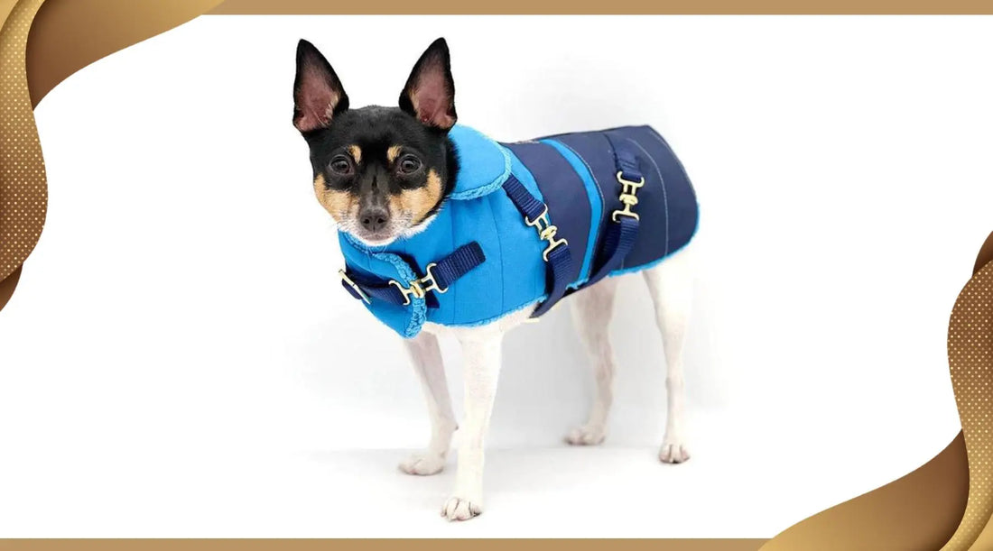 Embrace Winter Adventures with This Handcrafted Equestrian Dog Coat! BearwoodEssentials-Elevated Pet Feeders