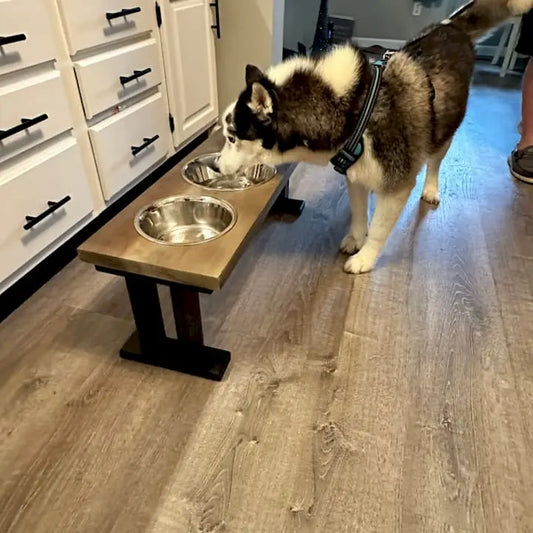 Feeder Maintenance Schedule: A Dog Owner's Guide BearwoodEssentials-Elevated Pet Feeders