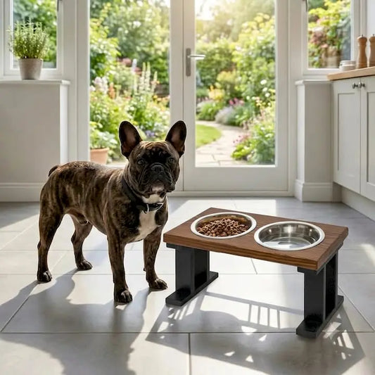 How to Transition Your Puppy to an Elevated Bowl BearwoodEssentials-Elevated Pet Feeders