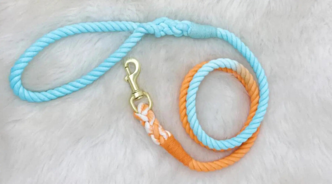 Stylish and Comfortable: Discover the Ombre Hand-Dyed Rope Dog Leash for Your Fur Baby! BearwoodEssentials-Elevated Pet Feeders