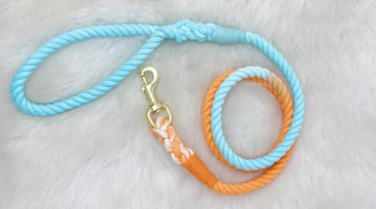 Stylish and Comfortable: Discover the Ombre Hand-Dyed Rope Dog Leash for Your Fur Baby! BearwoodEssentials-Elevated Pet Feeders