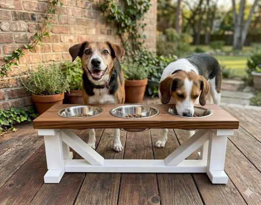 Unique Pet Feeding Station Ideas for Style and Health BearwoodEssentials-Elevated Pet Feeders