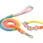 Luxe Royal Leather Rope Leash and Collar Set  - Size:   | Pack Of: 1