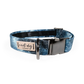 Constellation Astrological Star Chart Buckle & Martingale Dog Collar - Pack Of: 1