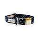 Independence Patriotic American Star Navy Buckle & Martingale Dog Collar - Pack Of: 1