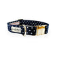Independence Patriotic American Star Navy Buckle & Martingale Dog Collar - Pack Of: 1