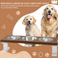 3 Bowl Elevated Regular Feeder - New Design - White Base BearwoodEssentials-Elevated Pet Feeders