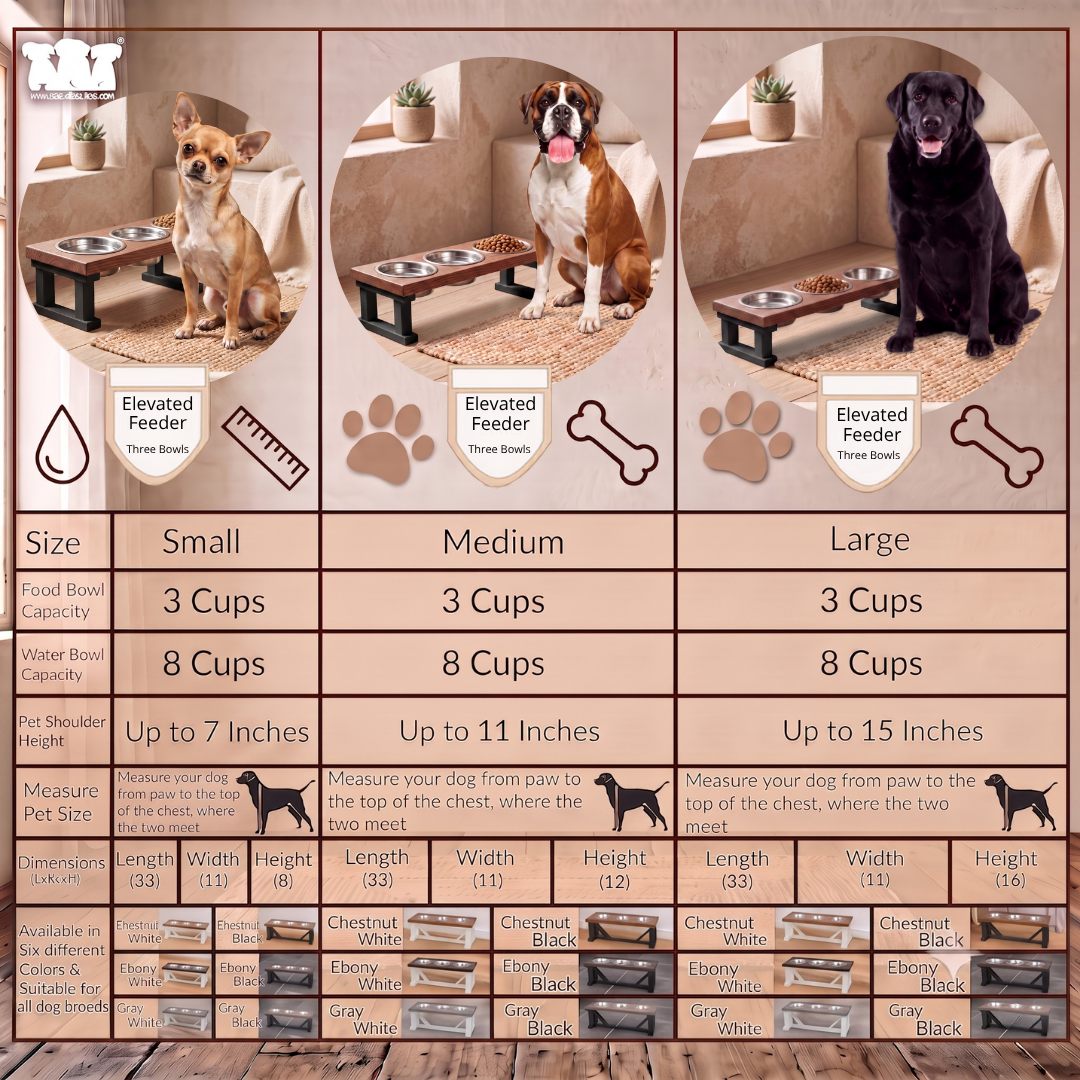 2 Bowl Elevated Regular Feeder - New Design - Black base BearwoodEssentials-Elevated Pet Feeders