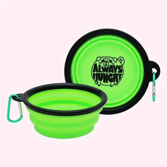 "Always Hungry" Green Dog Bowl BearwoodEssentials-Elevated Pet Feeders