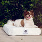 Bamboo Memory Foam Pet Bed BearwoodEssentials-Elevated Pet Feeders