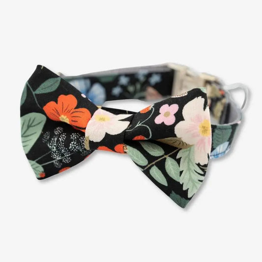 Black Fields Bow Tie Dog Collar BearwoodEssentials-Elevated Pet Feeders
