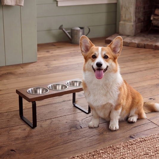 Metal Bowl Stand with Larger Bowl, Elevated Pet Feeding Station (2 Size/3 Colors) BearwoodEssentials-Elevated Pet Feeders