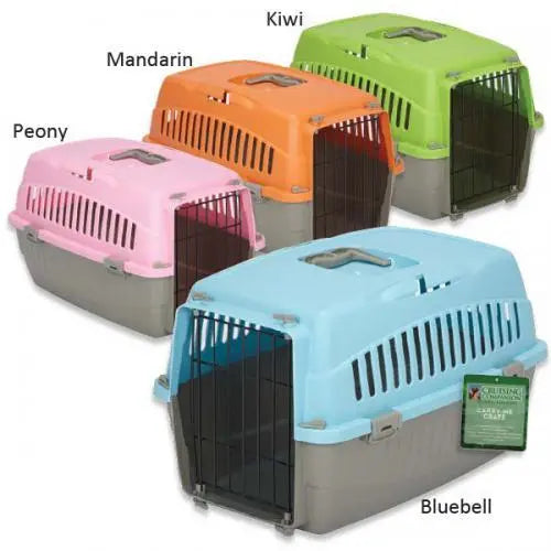 Essentials plastic hotsell dog crate