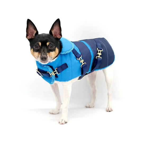 "Clear Blue Sky" - DCNY Equestrian Collection DoggieCoutureNY