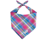 Colorful Plaid Bandana Louis Barx