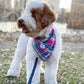 Colorful Plaid Bandana Louis Barx