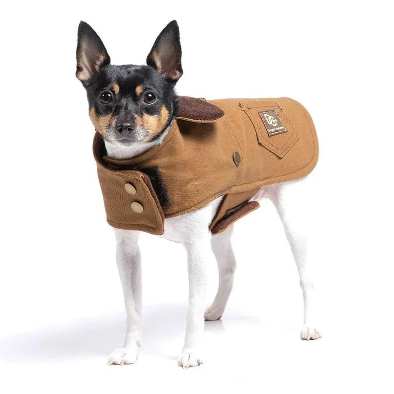 DCNY Canyon Working Coat BearwoodEssentials-Elevated Pet Feeders