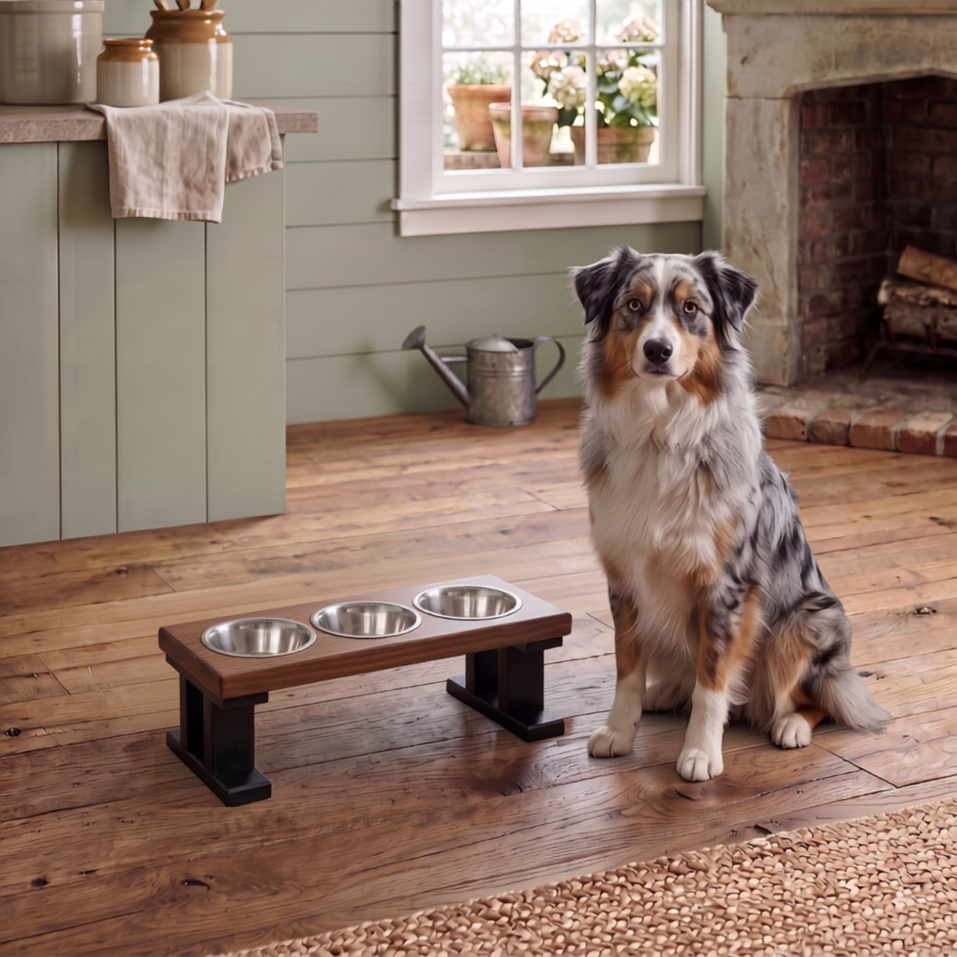 3 Bowl Elevated Regular Feeder - New Design - Black Base BearwoodEssentials-Elevated Pet Feeders