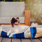Golden Waves Reversible Pet Bed BearwoodEssentials-Elevated Pet Feeders