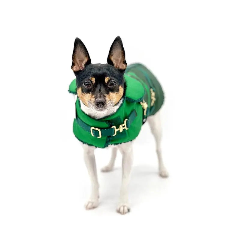 "Green with Envy" - DCNY Equestrian Collection BearwoodEssentials-Elevated Pet Feeders