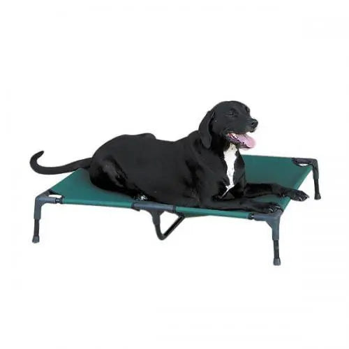 Guardian Gear Pet Cot BearwoodEssentials-Elevated Pet Feeders