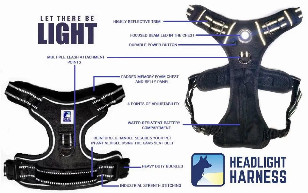 Headlight 2024 harness dog