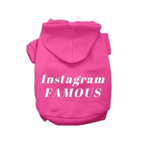 IG Famous Hoodie BearwoodEssentials-Elevated Pet Feeders