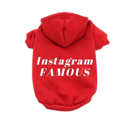 IG Famous Hoodie BearwoodEssentials-Elevated Pet Feeders